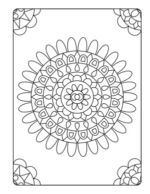 Design 33